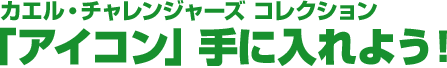 「アイコン」手に入れよう！