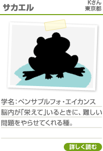 サカエル