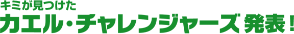 カエル・チャレンジャーズ発表！