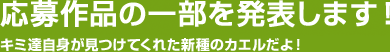 応募作品の一部を発表します！