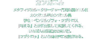 カンガエル解説