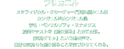 フリカエル解説