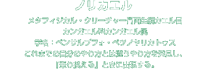 ノリカエル解説