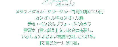 イイカエル解説