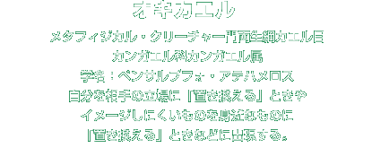 オキカエル解説