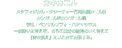 カキカエル解説