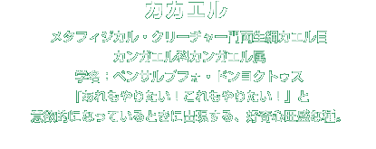 カカエル解説