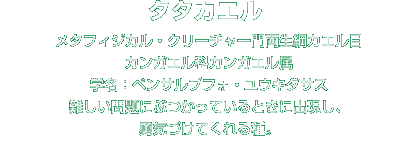 タタカエル解説