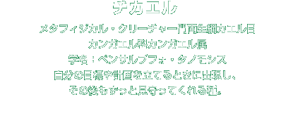 チカエル解説