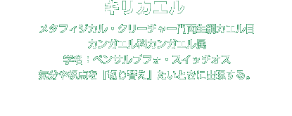 キリカエル解説