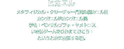 ヒカエル解説