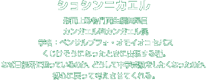 ショシンニカエル解説