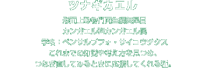 ツナギカエル解説