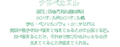 ナラベカエル解説