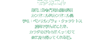 モチカエル解説