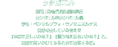 ウタガエル解説