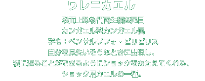 ワレニカエル解説