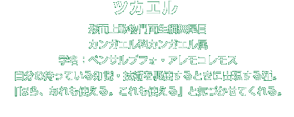 ツカエル解説