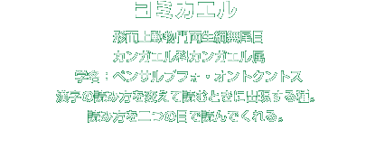 ヨミカエル解説