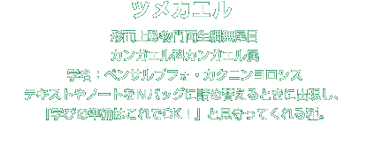 ツメカエル解説