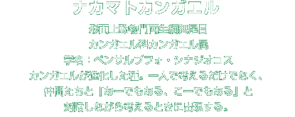 ナカマトカンガエル解説