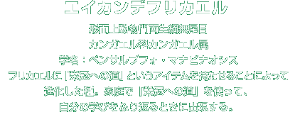 エイカンデフリカエル解説