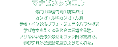 マナビカタカエル解説