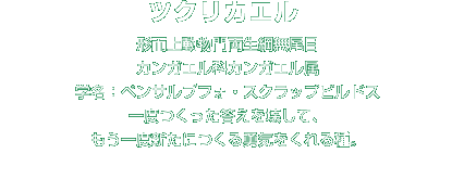 ツクリカエル解説