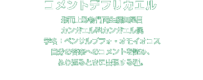 コメントデフリカエル解説