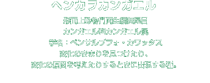 ヘンカヲカンガエル解説