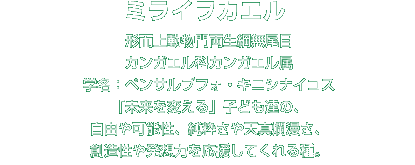 ミライヲカエル解説